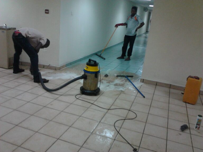 Tile Cleaning